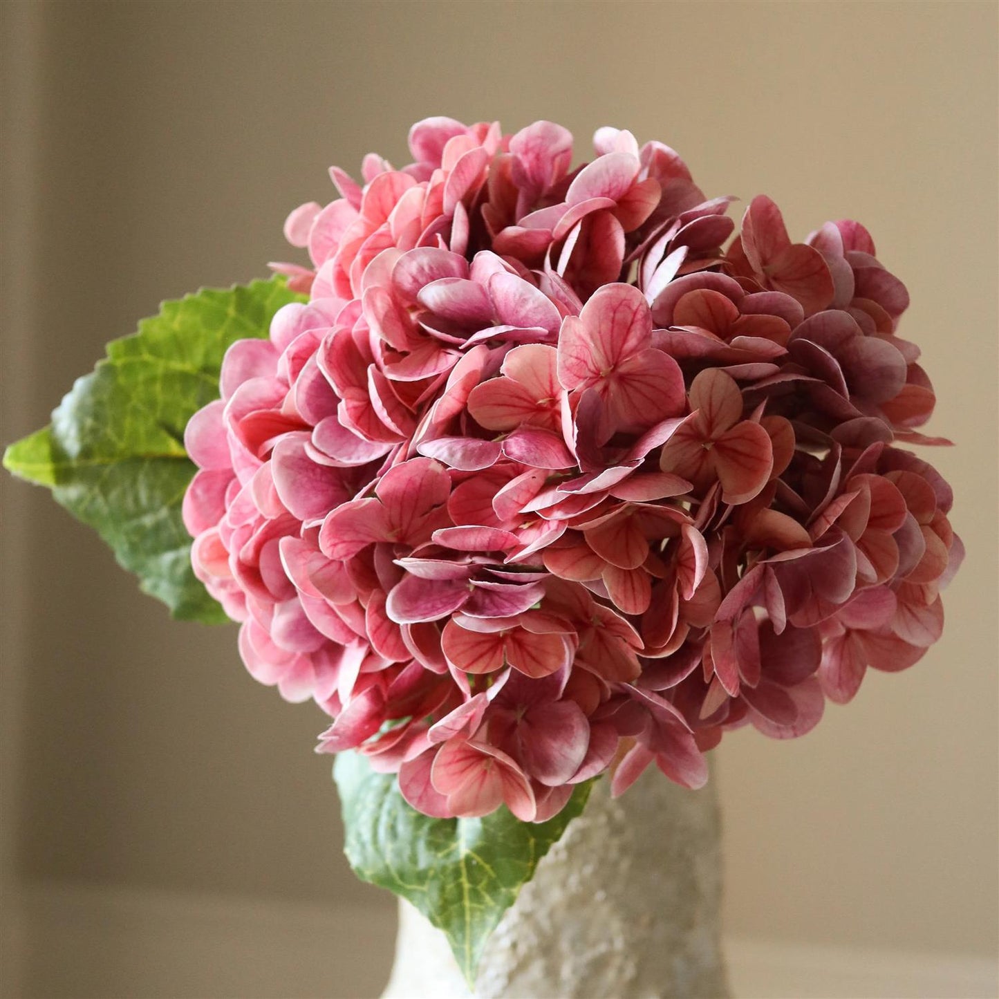 Pink hydrangea flower