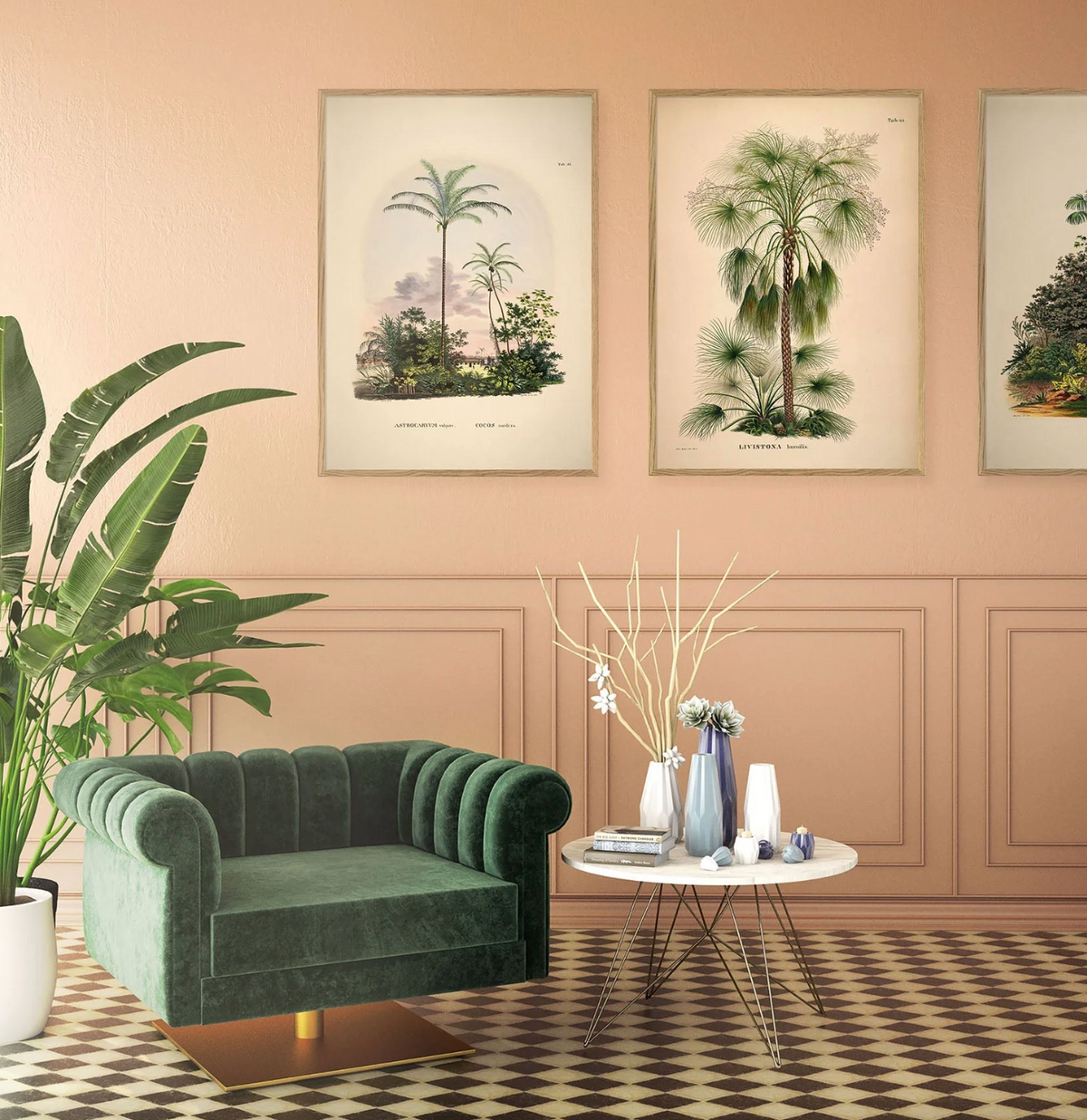 Livistona Humilis - 50x70 eikeramme