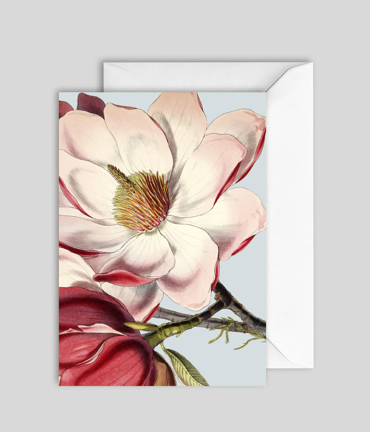 kort - rosa magnolia