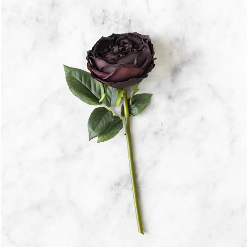 Rose Burgundy