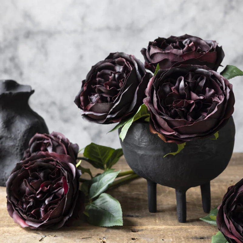 Rose Burgundy