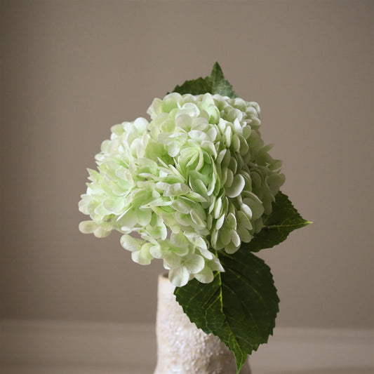 Light Green hydrangea flower