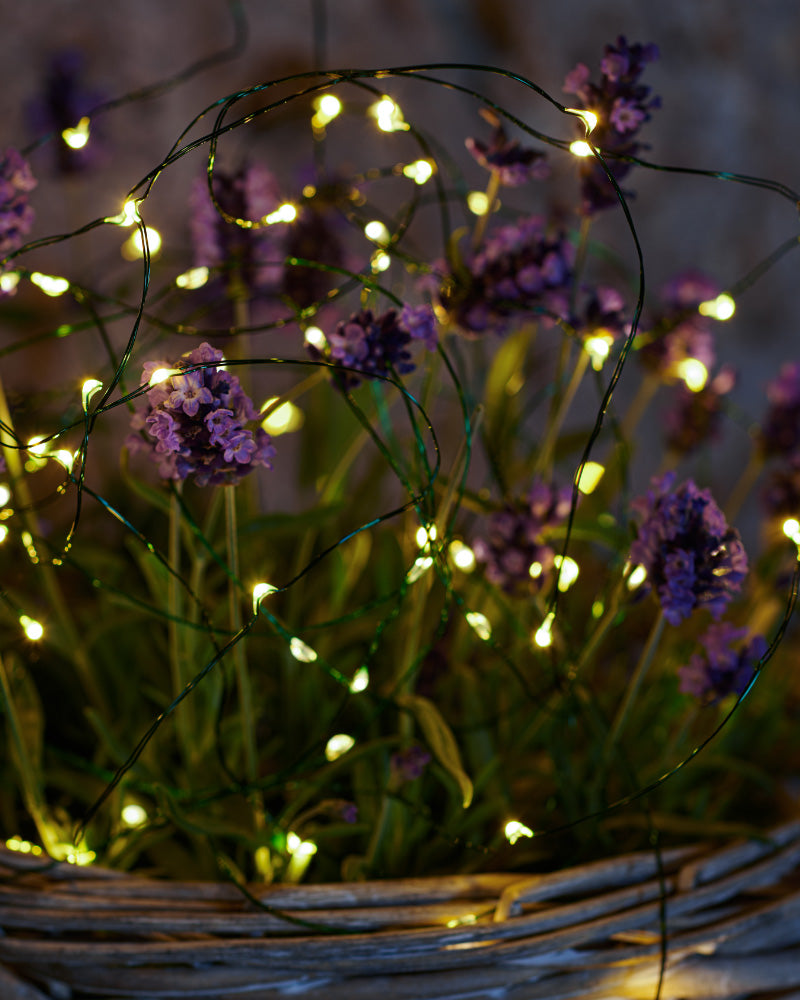 Knirke lyslenke 3,9m grønn