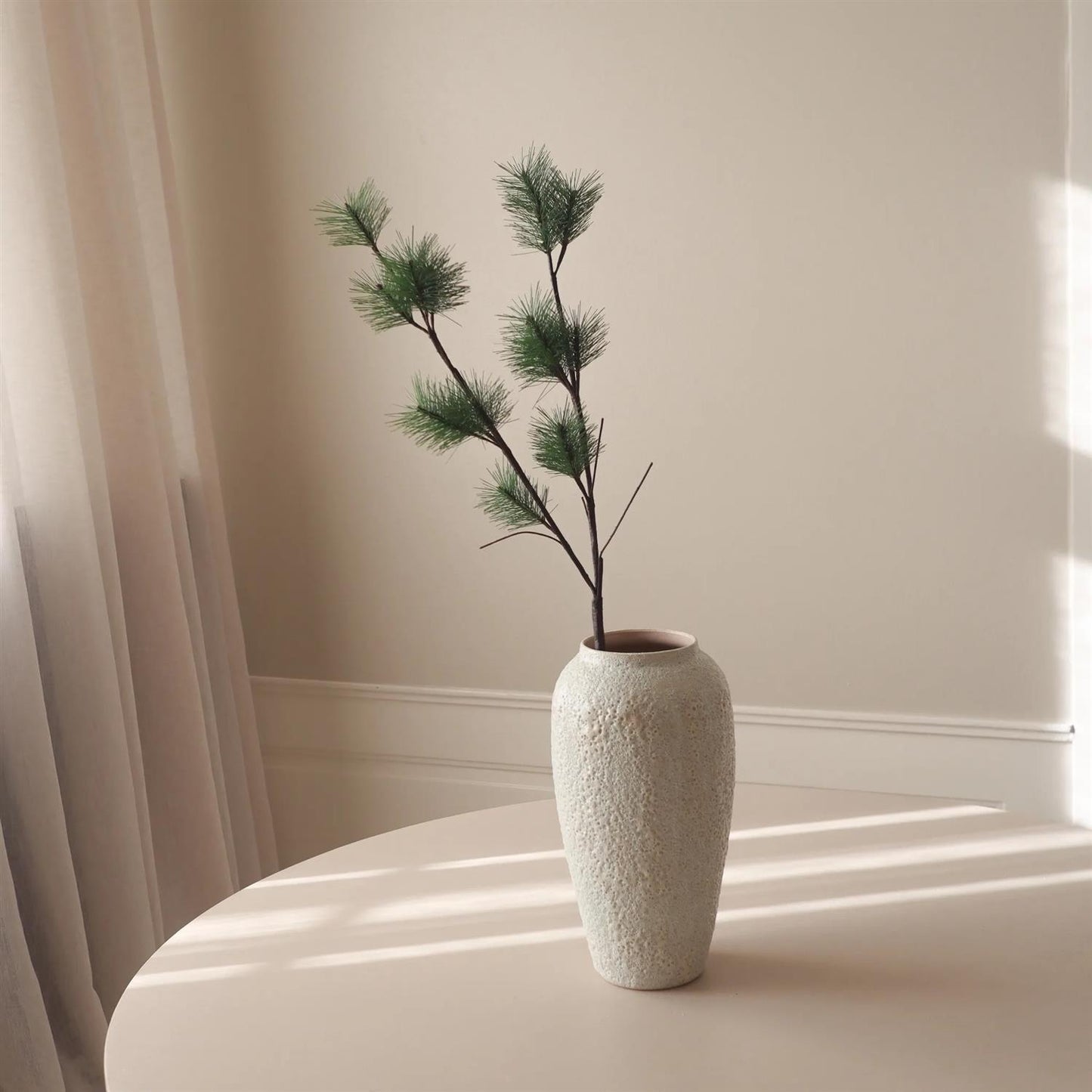 Green pine branch