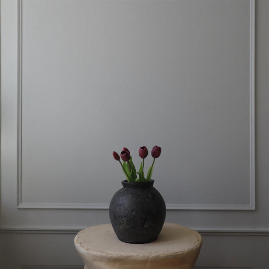 Purple tulip 5stk