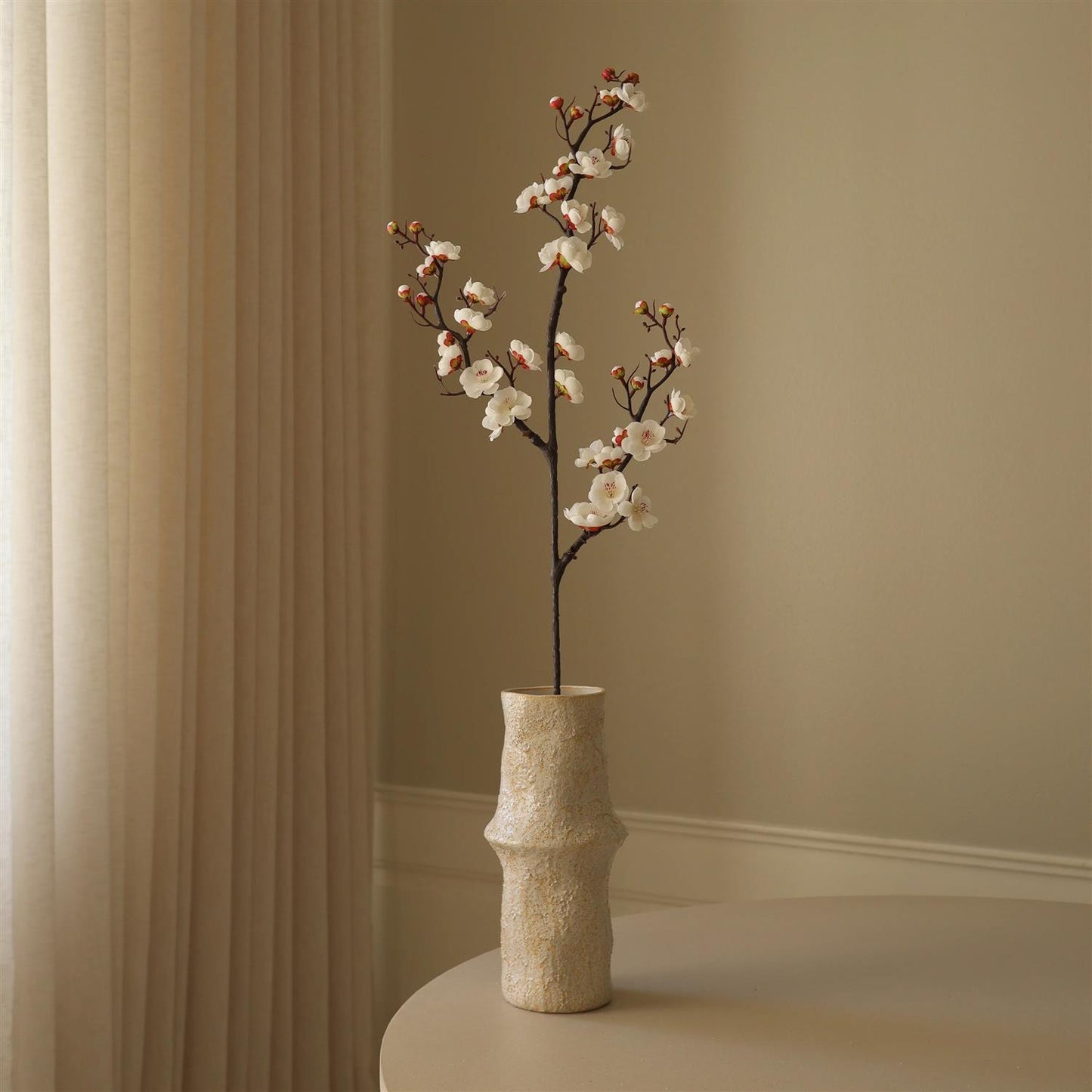 White plum blossom branch