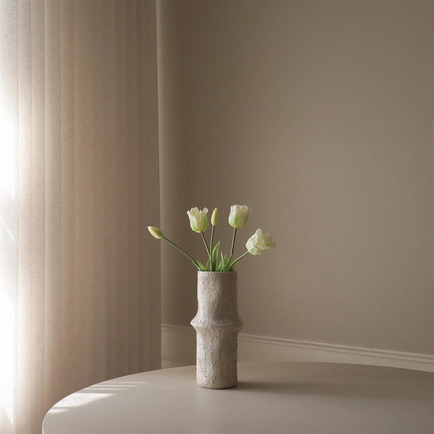 White triumph tulip 5stk