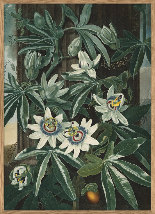 White Flowers - 70x100 eikeramme