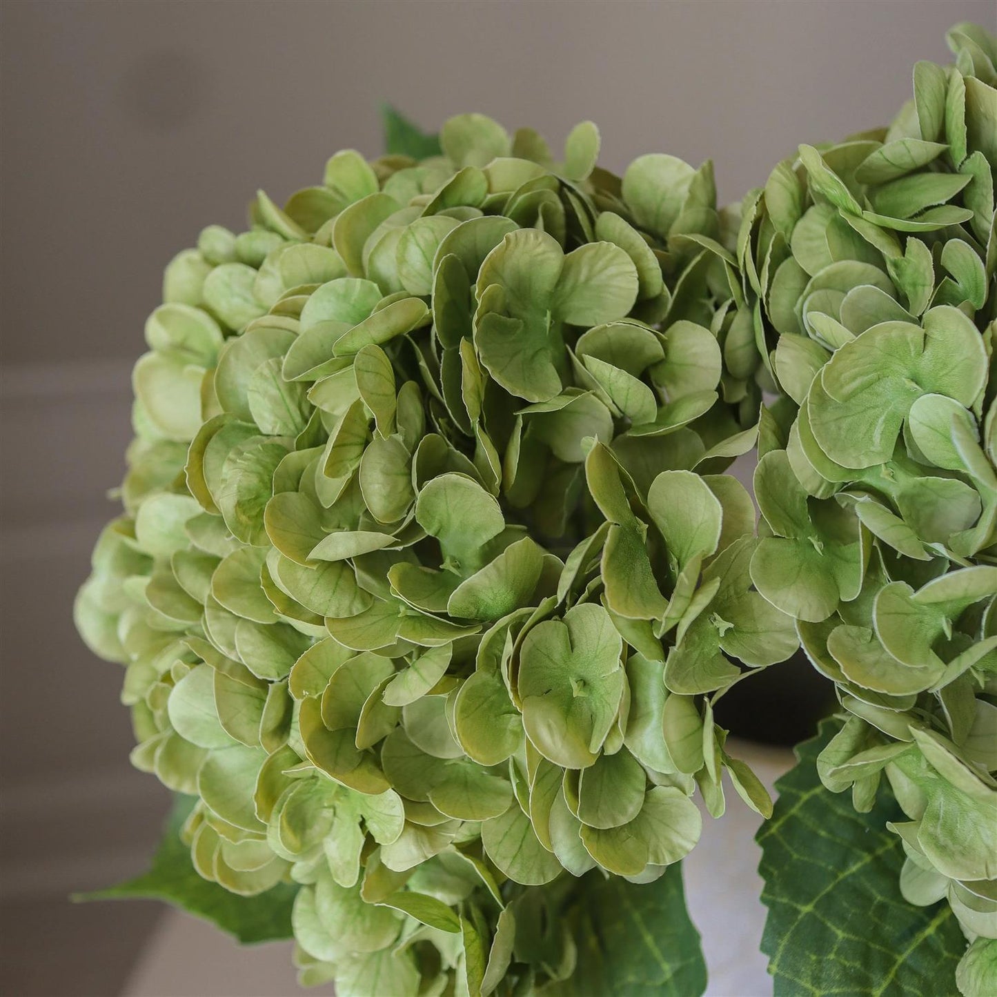 Moss green hydrangea flower