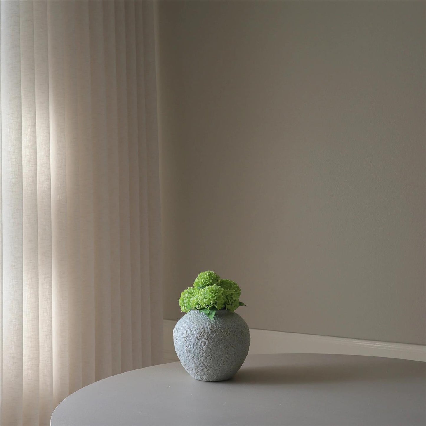 Green mini snowball hydrangea