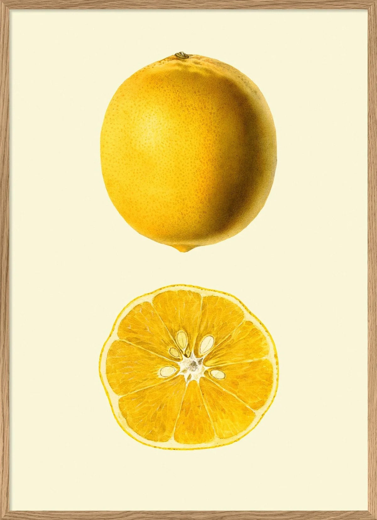 Lemon 50x70 eikeramme