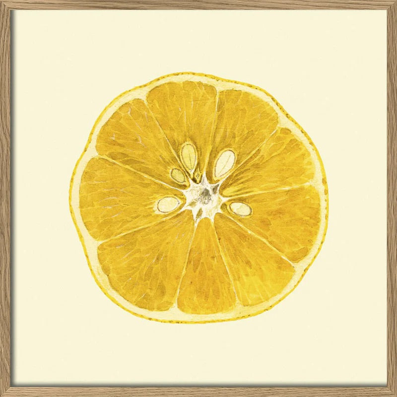 Lemon Open 61x61, eikeramme