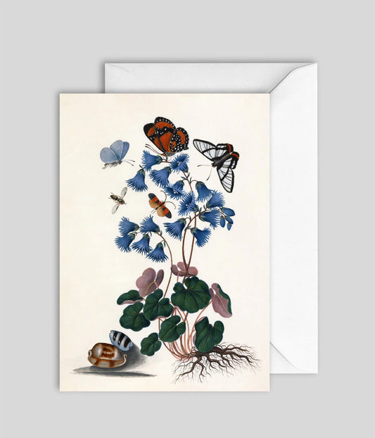 kort - blå blomster sommerfugl
