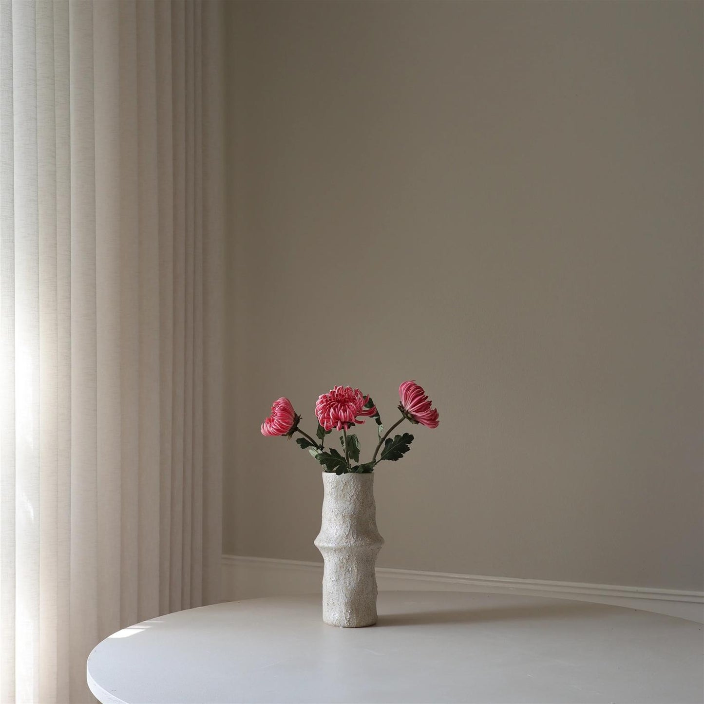 Pink semi-cactus Dahlia Flower