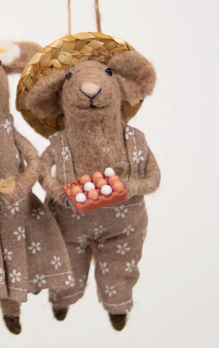 Brun mus med snekkerbukse og egg