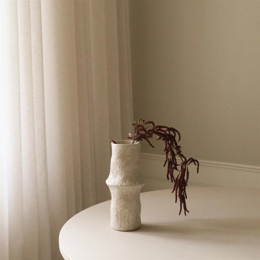 Dark Red Amaranthus Cruenthus