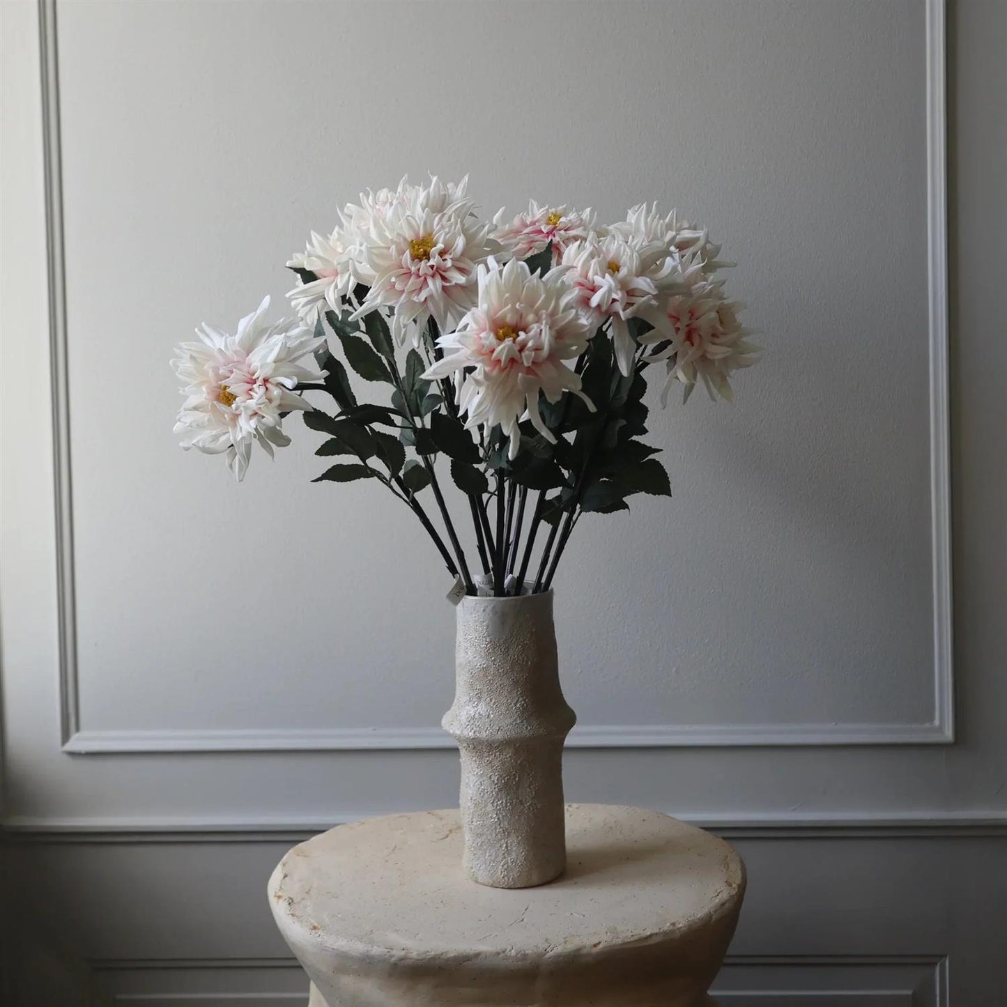 Light pink cactus Dahlia Flower