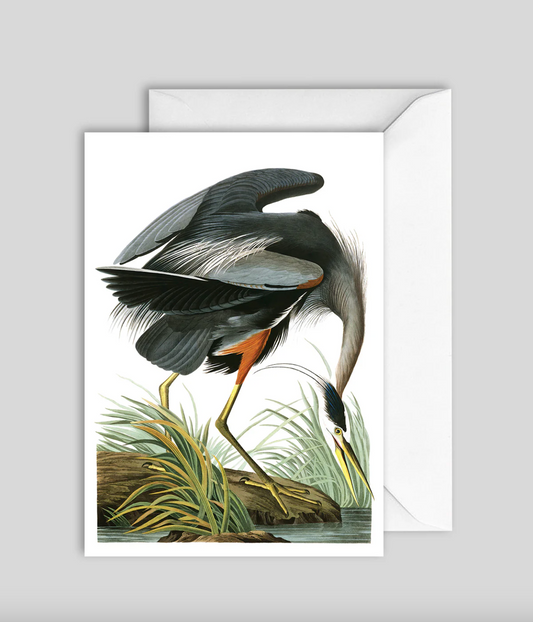 kort - Blue Heron