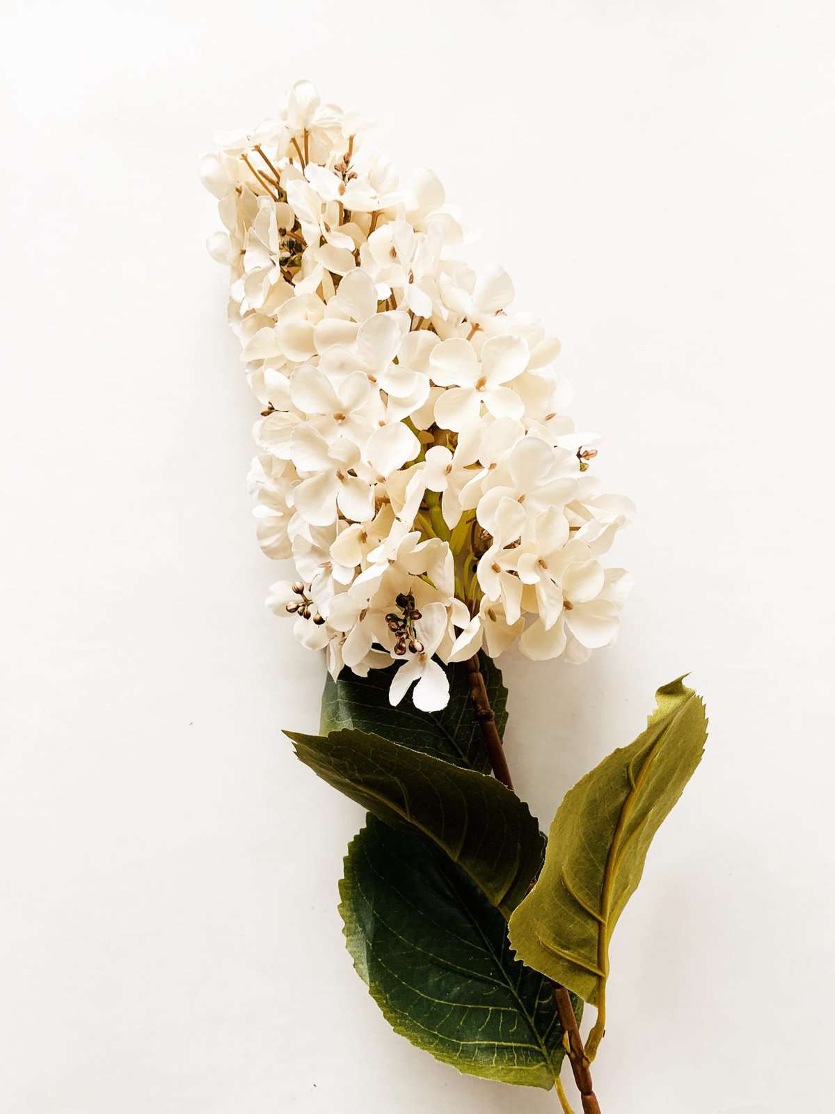 Syrinhortensia 80cm Creme