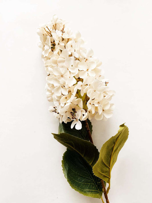 Syrinhortensia 80cm Creme