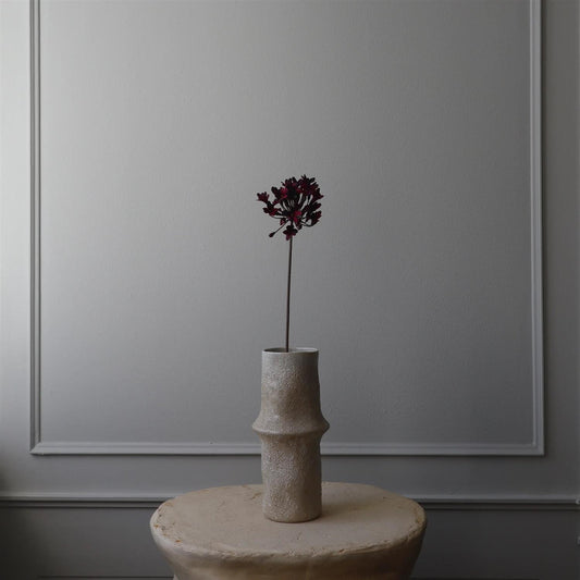 Dark red Agapanthus flower