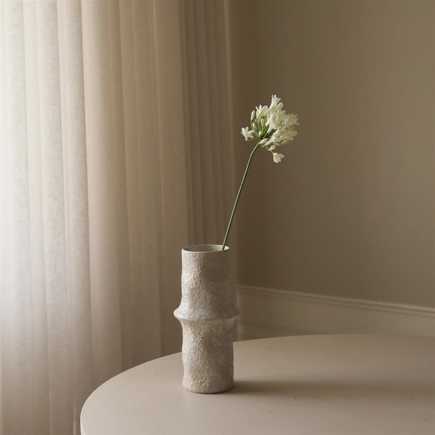 White Agapanthus flower