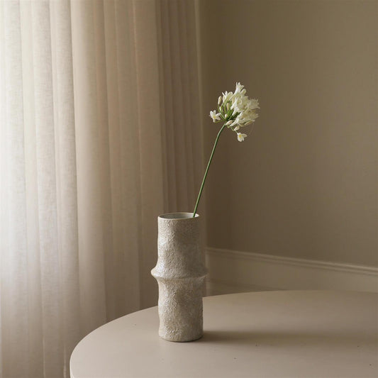 White Agapanthus flower