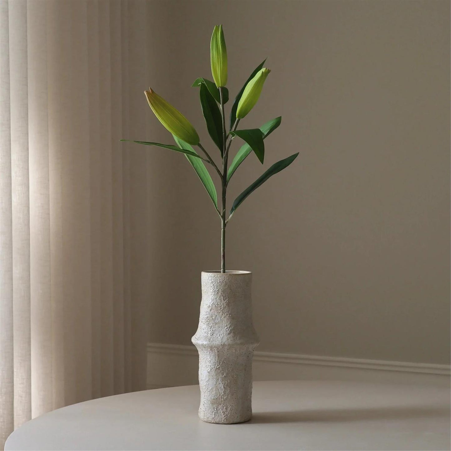 Unopened Lily flower bud