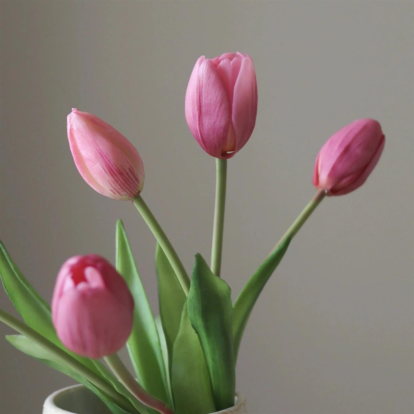 Pink tulip 5stk