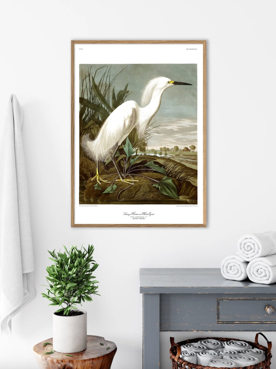 Snowy Heron - 50x70 eikeramme