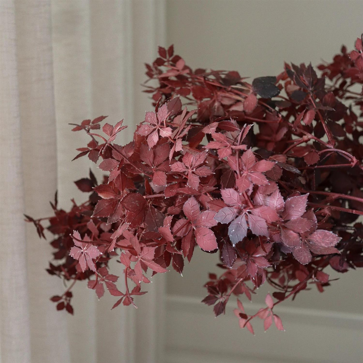 Burgundy Maple branch