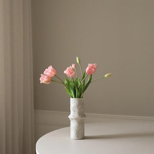 Light pink triumph tulip 5stk