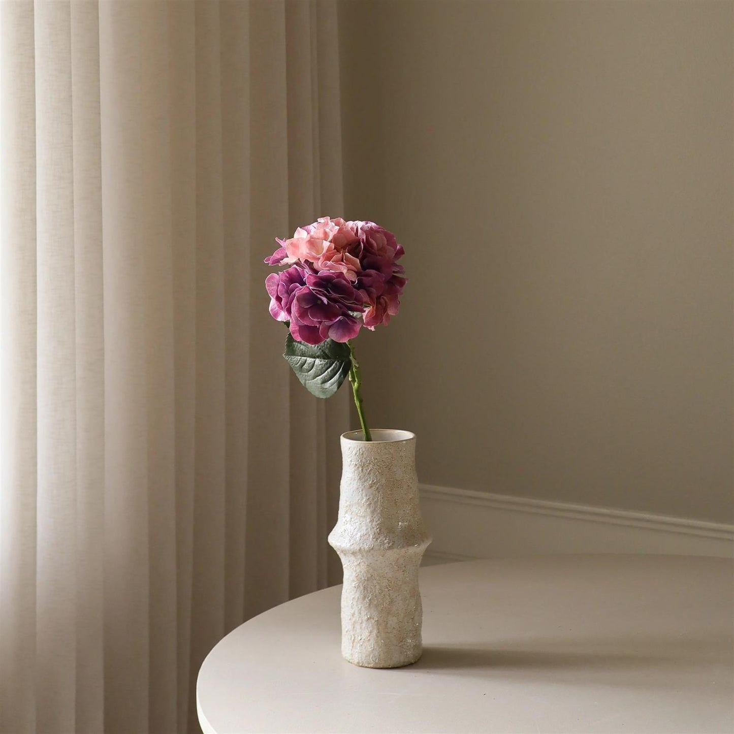 Faded pink hydrangea flower