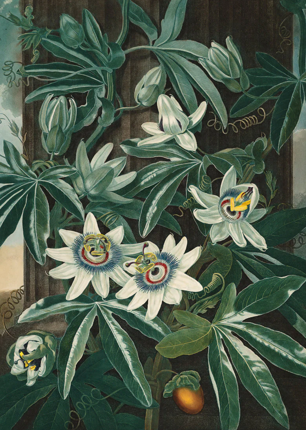 White Flowers - 30x40 eikeramme