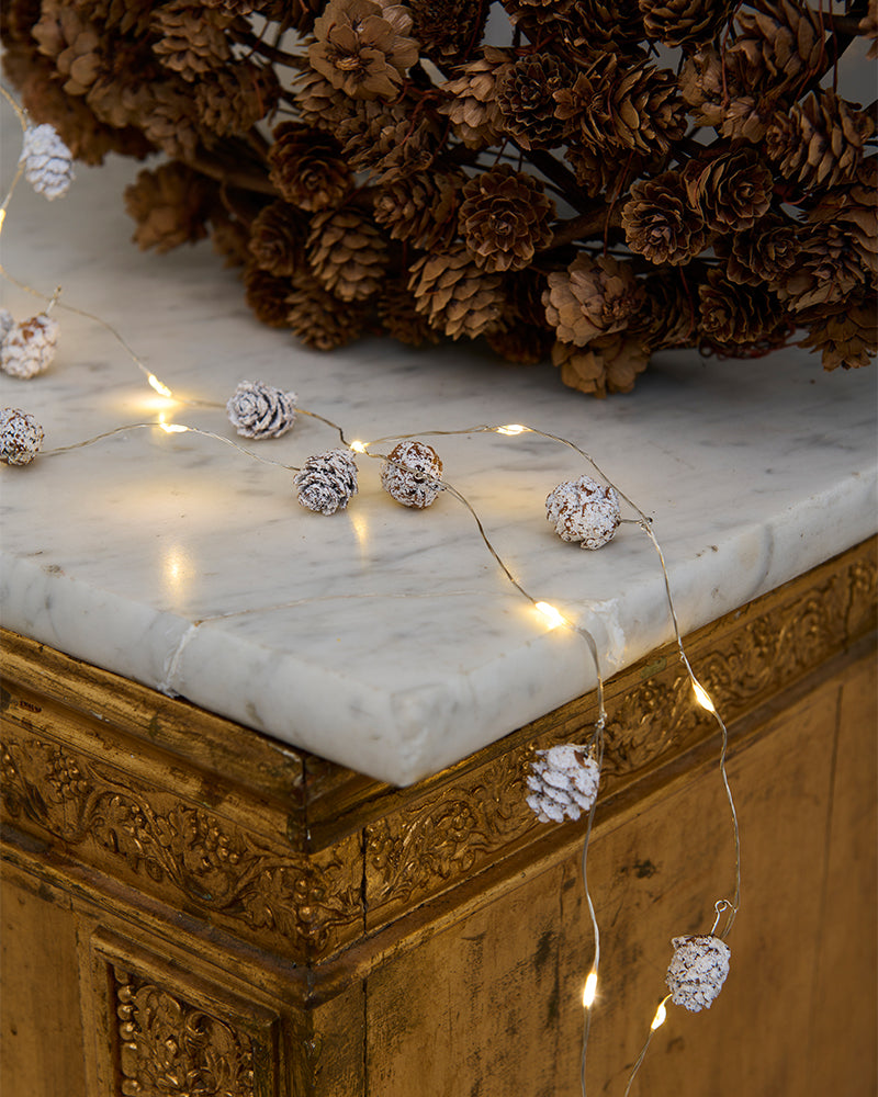 Molly ledlys hvite kongler