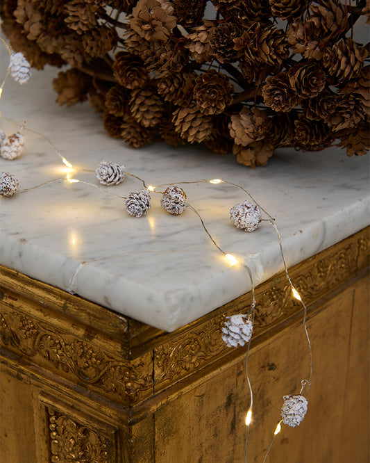 Molly ledlys hvite kongler