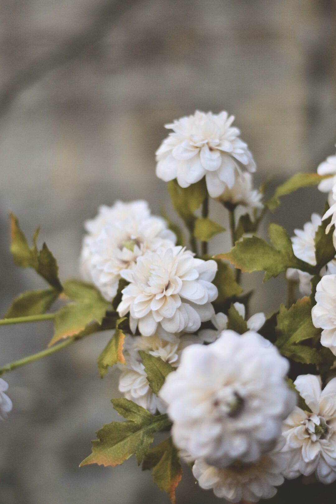 Dahlia pompom bukett 65 cm