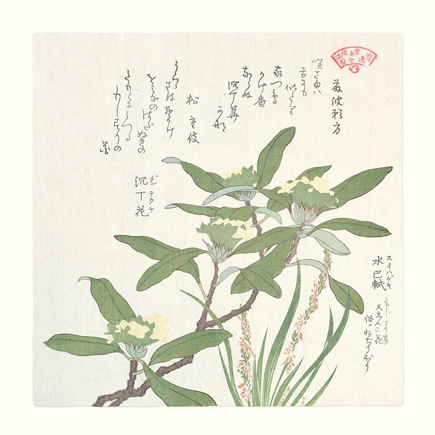 Green plant 61x61 cm, eikeramme