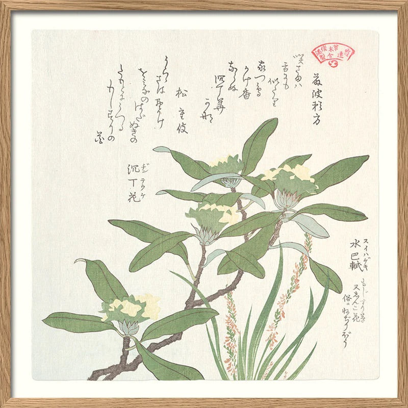 Green plant 61x61 cm, eikeramme