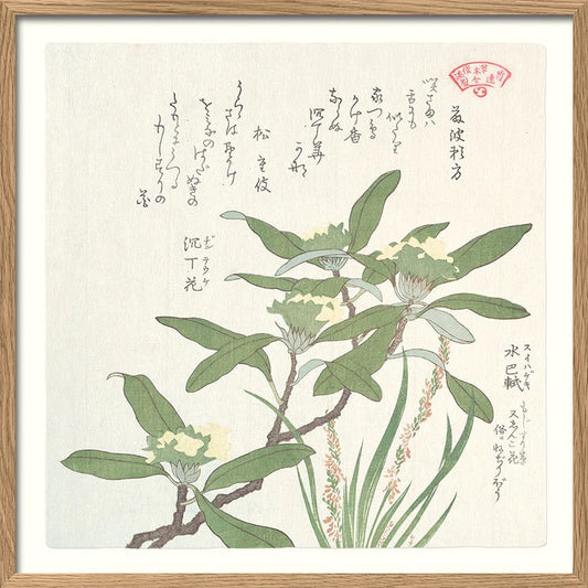 Green plant 61x61 cm, eikeramme