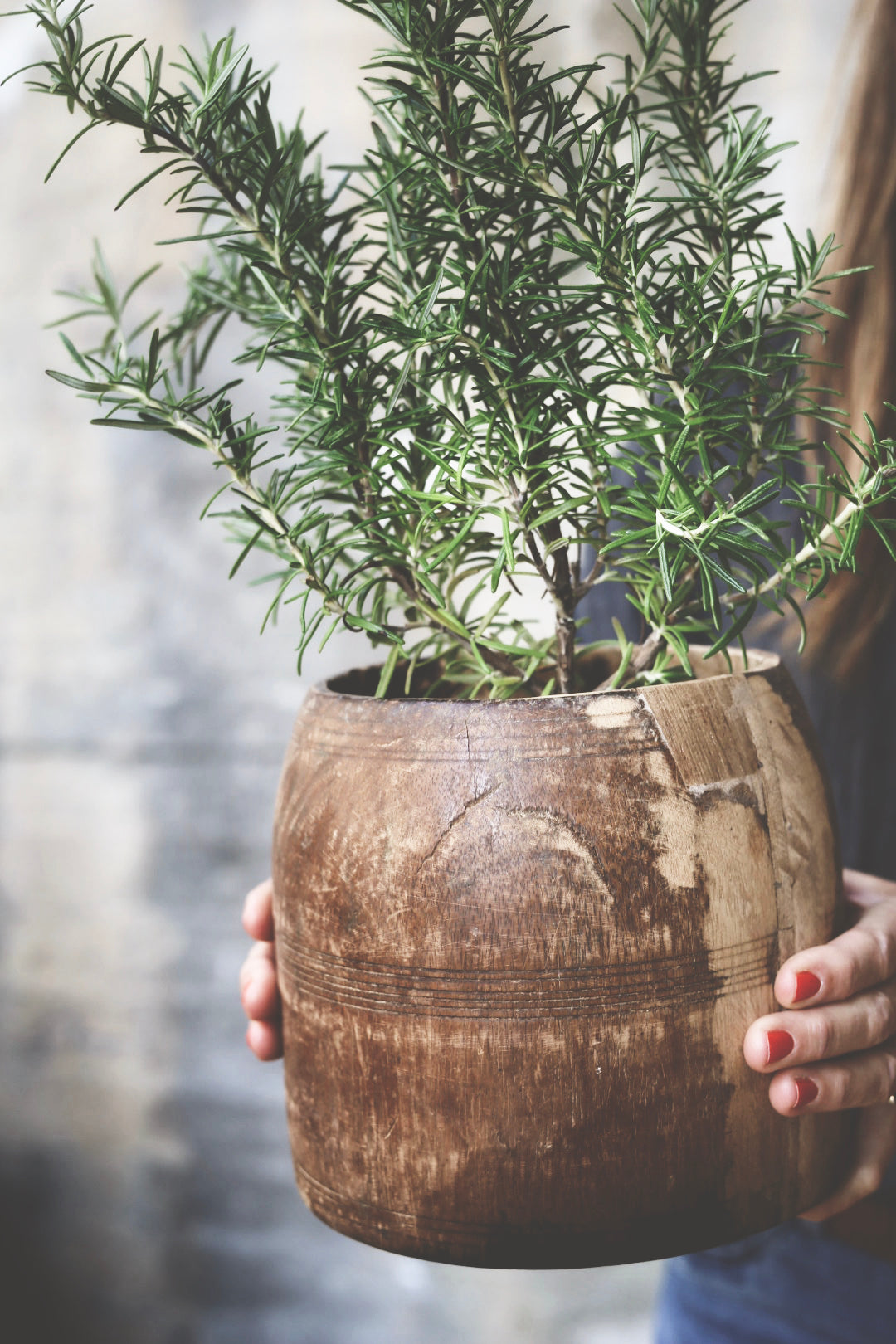 Vintage trepotte ca. Ø15 x H20cm