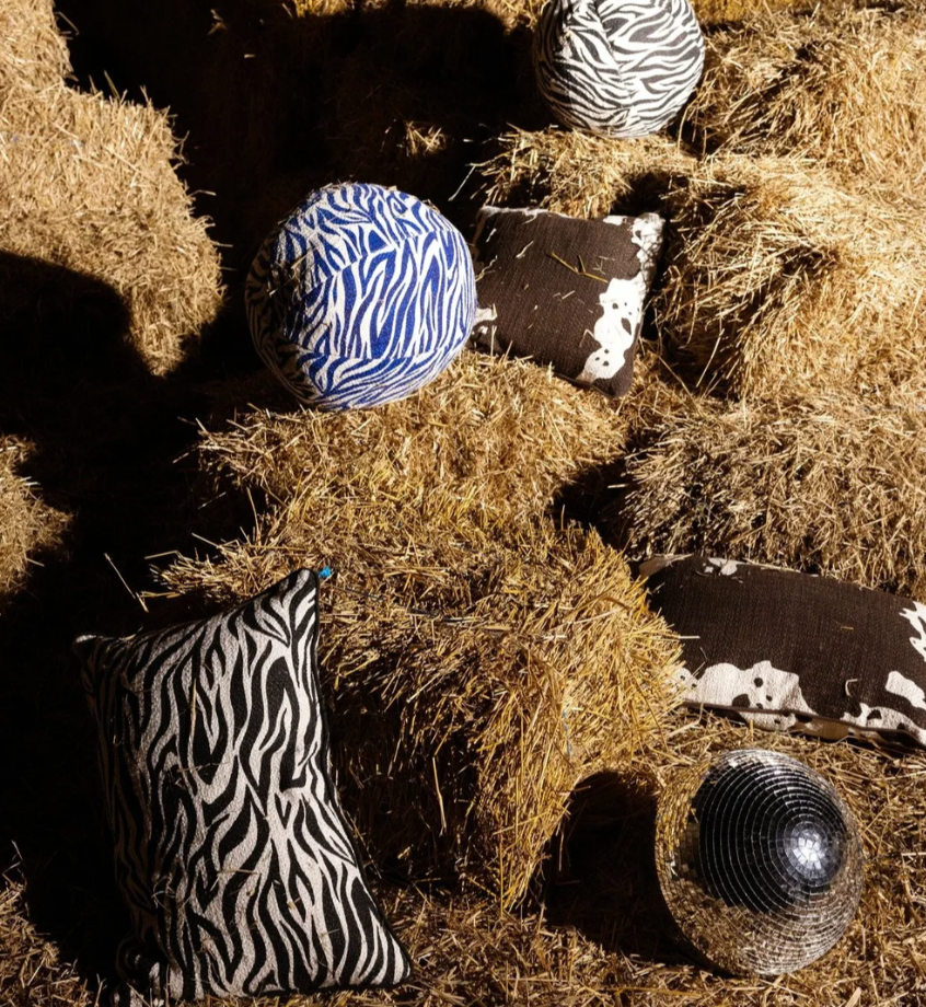 Anima pynteute Zebra L 40x60 cm