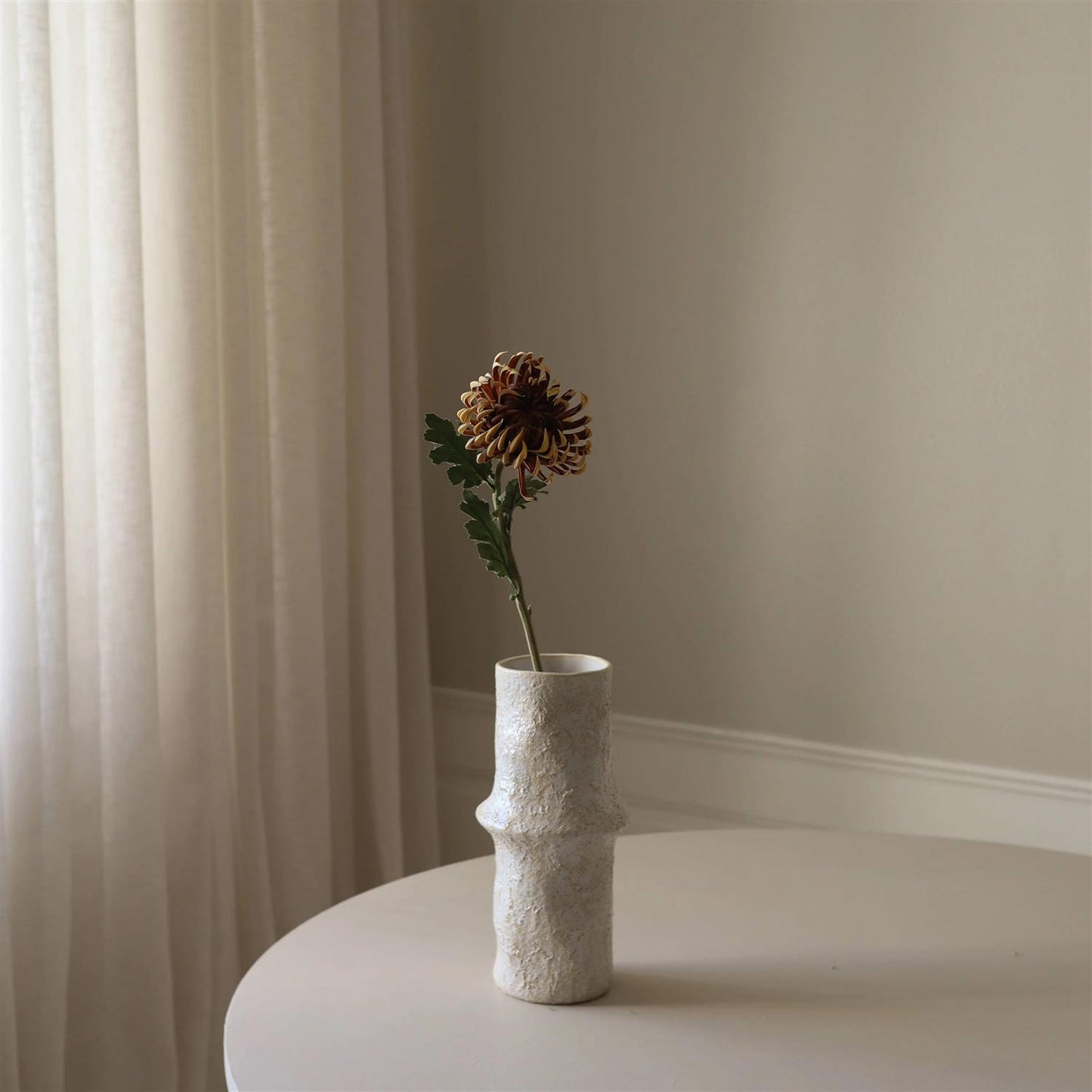 Brown semi-cactus Dahlia Flower