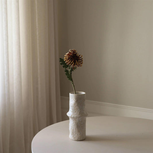 Brown semi-cactus Dahlia Flower