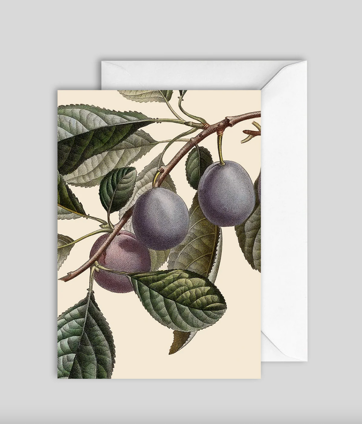kort - Plant detail
