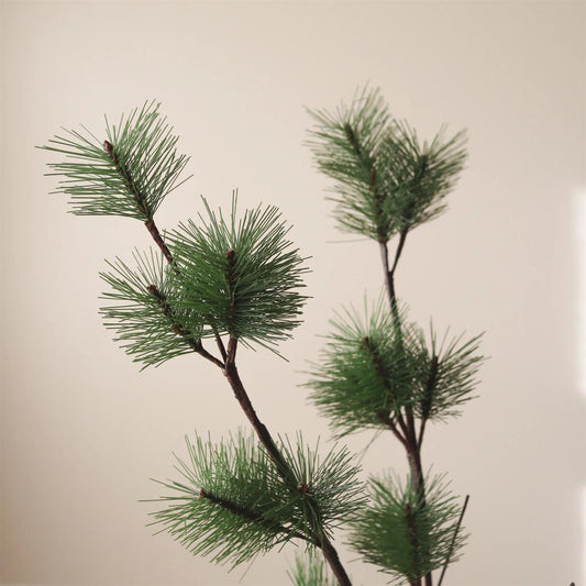 Green pine branch
