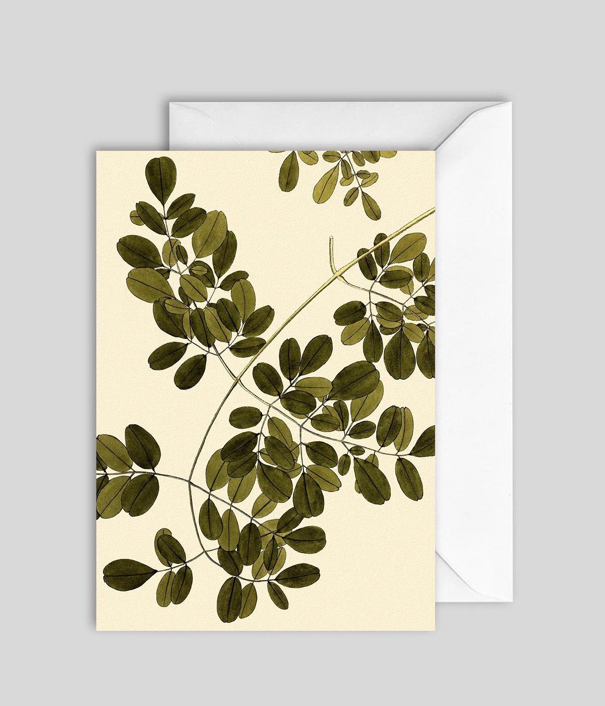 kort - plant details