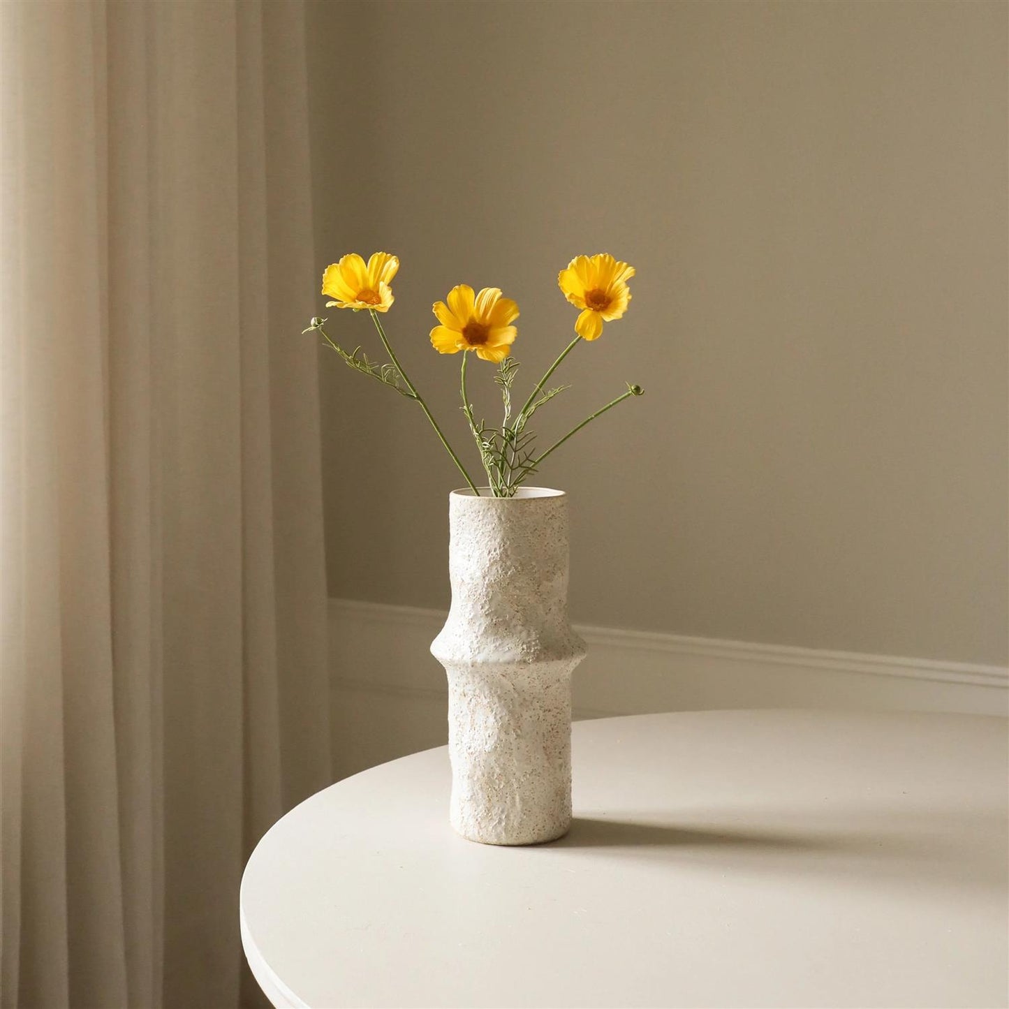 Yellow Cosmo daisy flower