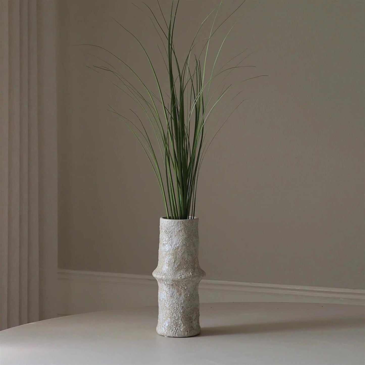 Green Ornamental grass