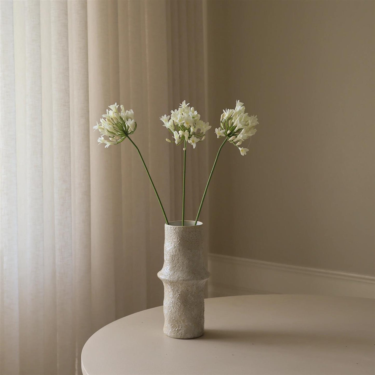 White Agapanthus flower